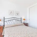 Apolo Xix 34l - Grupo Turis Calp